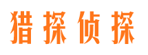 南岸侦探公司